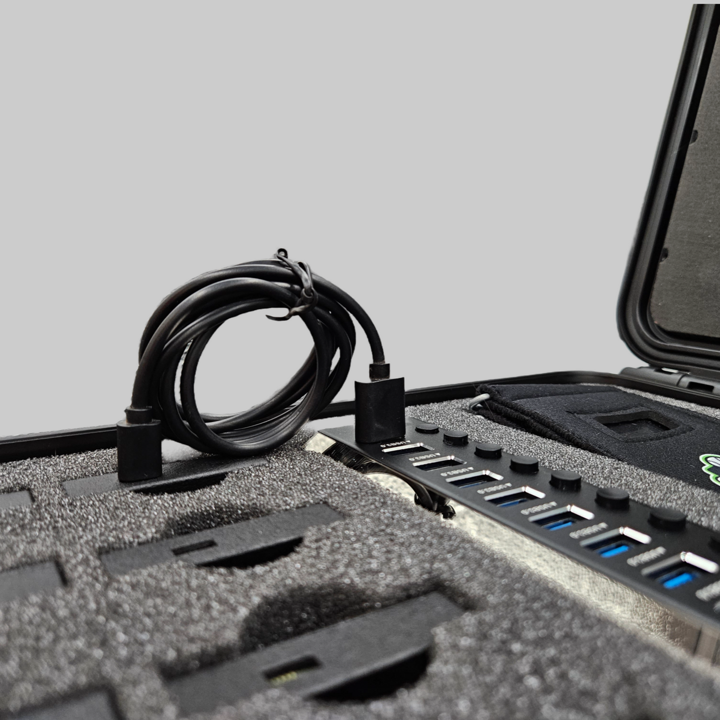 Carrying Case and Charging Hub